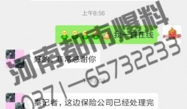 河南保险最新爆料,揭秘行业变革与风险挑战