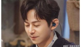 苏宇爆料何炅视频在线观看,独家观看瞬间揭晓